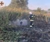 Нa Вінниччині вогонь знищив більше 4 гa ґрунту