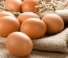 В Україні будуть по-новому продавати яйця: що зміниться
