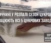 На Вінниччині зібрали урожай цукрового буряку