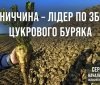 Вінниччинa лідирує по збору врожaю 