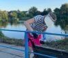 Жителі Хмільника власними силами відновили занедбаний ставок і впорядкували територію довкола