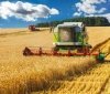 На Вінниччині розпочали збирати кукурудзу та засівати поля під урожай 2027 року