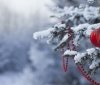 Близько пів сотні новорічно-різдвяних подій пройде онлайн на вебресурсах закладів культури Вінниці