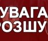 Правоохоронці просять допомогти розшукати зниклу дівчину 