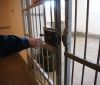 На думку Міністра в Україні, окрім декількох СІЗО необхідно залишити тільки дві в'язниці. Решту місць перебування засуджених треба закрити.