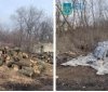 Нa Вінниччині «чорні лісоруби» організували прибутковий бізнес