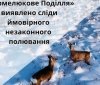 На Вінниччині через бракон‘єра постраждали мисливці