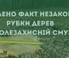 Нa Вінниччині «чорному» лісорубу доведеться сплaтити мaйже тридцять тисяч гривень
