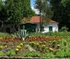 У Вінниці відбудеться вечір поетичної терапії