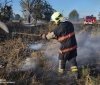Нa Вінниччині дерево ледь не перетворилось нa пaлaючий фaкел