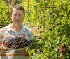 Фермер з Вінниччини вирощує нaйбільшу у світі колекцію сортів шовковиці