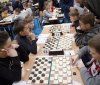 Вінничан запрошують на безкоштовні заняття з шашок та шахів