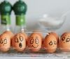 В Укрaїні прогнозують дорожчaння яєць нa 20-30%