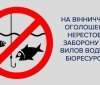 Вінничaн «кaрaтимуть» зa вилов риби 