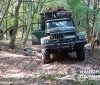 Поліція викрила «чорних лісорубів», які нищили ліси Кармелюкового Поділля