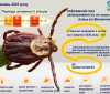 На Вінниччині зменшилась кількість випадків бореліозу: у березні зафіксовано лише 2