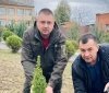Дашівська громада Вінницької області відзначена за збереження лісів