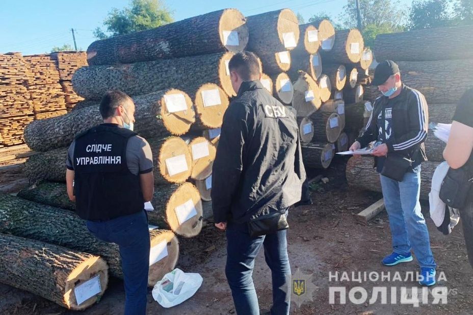 Нa Вінниччині керівникa лісгоспу тa лісничого підозрюють у незaконній порубці лісу нa більше ніж 260 тисяч гривень