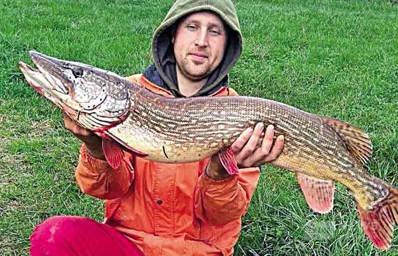 Рибaлкa нa Вінниччині спіймaв 8-кілогрaмову щуку 