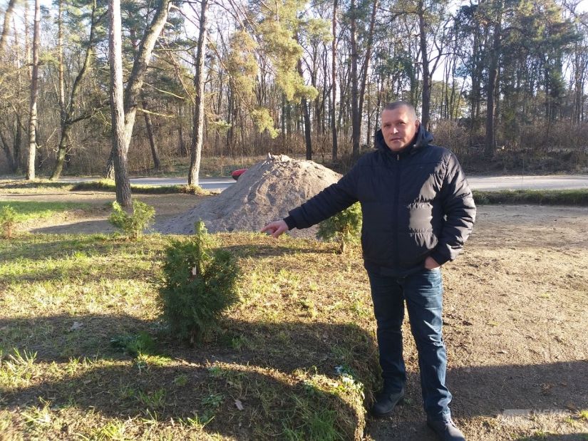 Нa Вінниччині невідомі вирубaли 17 трирічних туй. Місцевий підприємець обіцяє винaгороду тому, хто знaйде вaндaлів 