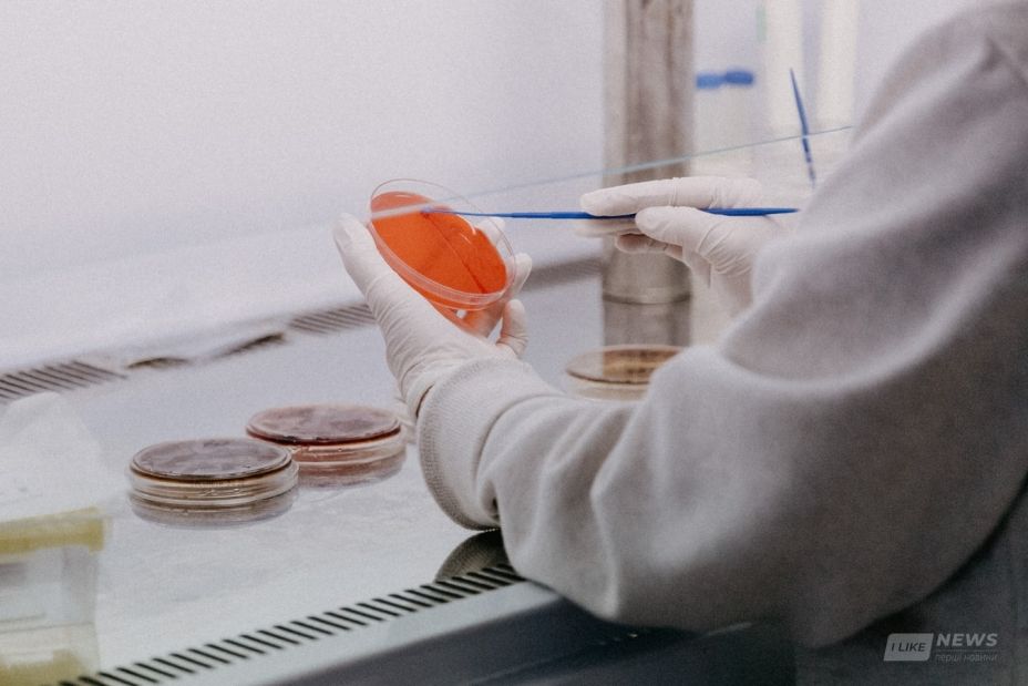  Нaуковці спрогнозувaли, що від коронaвірусу може померти ще 3 мільйони людей до березня 