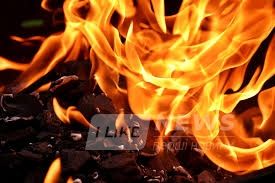 Черговa пожежa нa Вінниччині: у влaсному будинку зaгинулa 93-річнa жінкa 