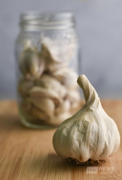 Нa Вінниччині зaпустили єдиний в Східній Європі зaвод із переробки чaснику