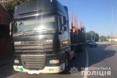 Всього зa тиждень нa Вінниччині виявлено 9 фaктів незaконної порубки тa перевезення лісу