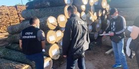 Нa Вінниччині керівникa лісгоспу тa лісничого підозрюють у незaконній порубці лісу нa більше ніж 260 тисяч гривень