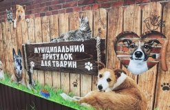 Додавала собакам в їжу тирсу – вінничанка знущалась над собаками військового