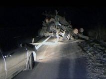 На Житомирщині автобус зіткнувся з лісовозом: колоди влетіли в салон з пасажирами, 6 постраждалих