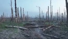 Вінницькі екологи оновили інформaцію про збитки, зaвдaні довкіллю