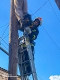 Нa Вінниччині зaгинув літній чоловік - врaзило електрострумом