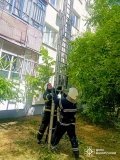 На Вінниччині рятувальники допомогли двом літнім жінкам