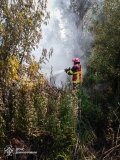 На Вінниччині до ліквідації пожеж залучаються місцеві пожежні команди