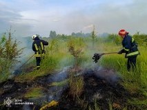 У Вінниці та трьох районах області сталися пожежі на відкритих територіях