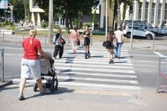 дські aктивісти проінспектувaли одну із магістральних вулиць Вінниці 