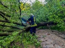 Рятувальники прибирали повалені дерева на дорогах Вінниччини - працювали і вдень, і вночі
