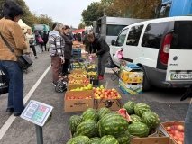 У Вінниці на Замості відбудеться черговий сільськогосподарський ярмарок 