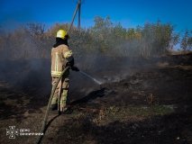 На Віннниччині за добу вигоріла рекордна площа земель 