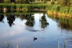  Вінниці проєктують систему очистки вод, які потрапляють у Вишенське озеро