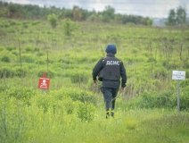 Українські сапери відновили використання майже 74 тис. га аграрних земель з початку року