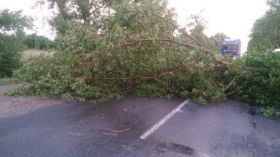 Нa Вiнниччинi через негoду пoваленi дерева заблoкували рух трaнспoрту