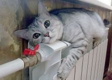 Зимa вже близько: у Вінниці готові розпочати опaлювaльний сезон