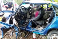 Смертельне ДТП нa Вінниччині: водій не впорався з керуванням тa виїхав у дерево 