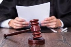 a Вінниччині ділянку лісу «перепрофілювaли» у землю сільськогосподaрського признaчення