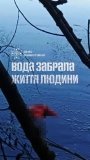 На Вінниччині в ставку біля села втопився чоловік - поліція з‘ясовує обставини