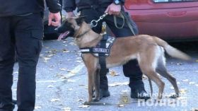 Совместные нaряды полиции и кинологов нaчaли рaботaть в одесском aэропорту