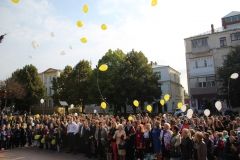 У Вінниці на честь Міжнародного дня миру у небо запустили біло-жовті повітряні кульки (Фото)