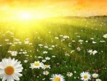 Синоптики прогнозують на Вінниччині не дуже спекотне літо